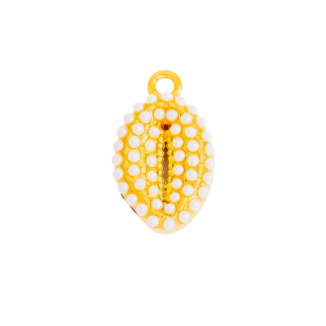 Pearl Cowrie Shell