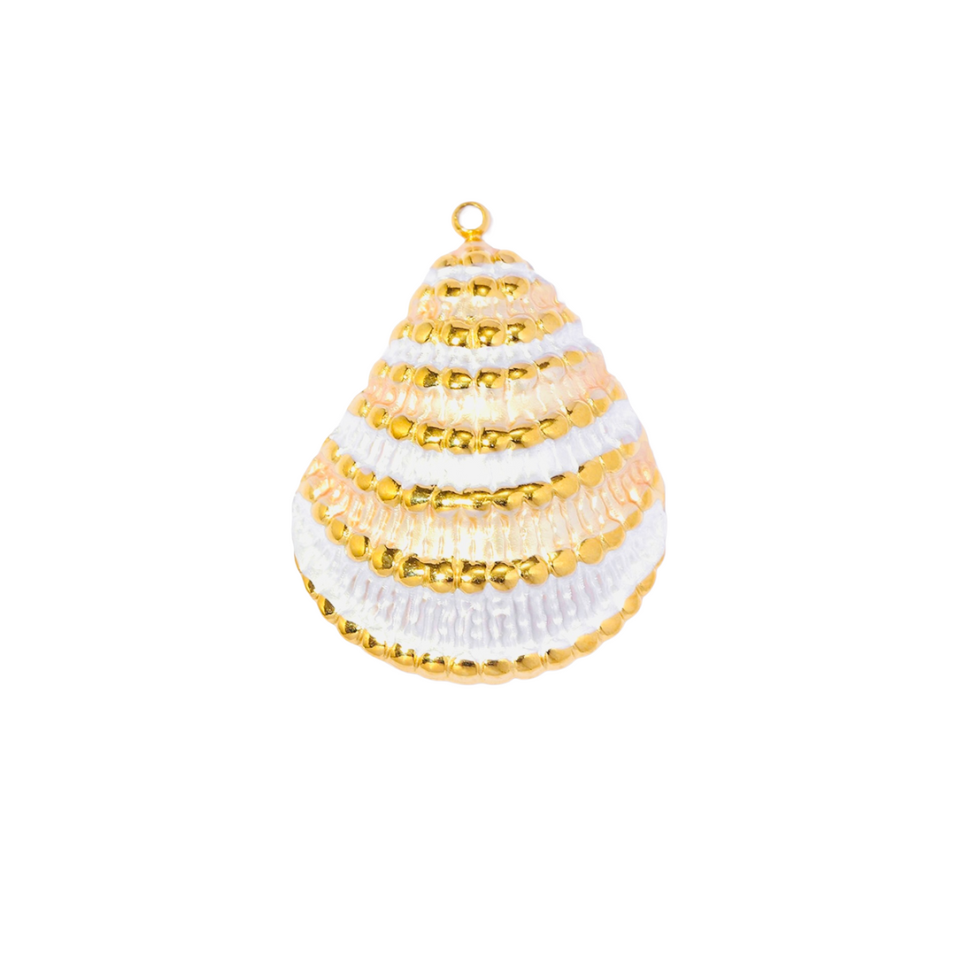 White Spiral Shell