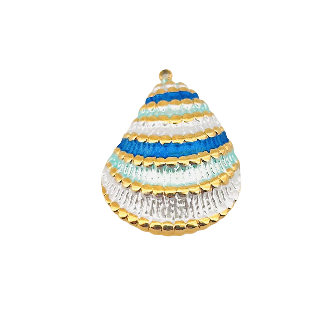 Striped Cone Shell