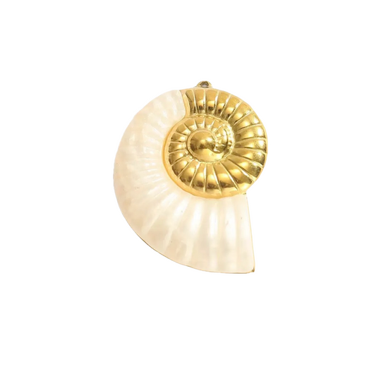 Nautilus Echo