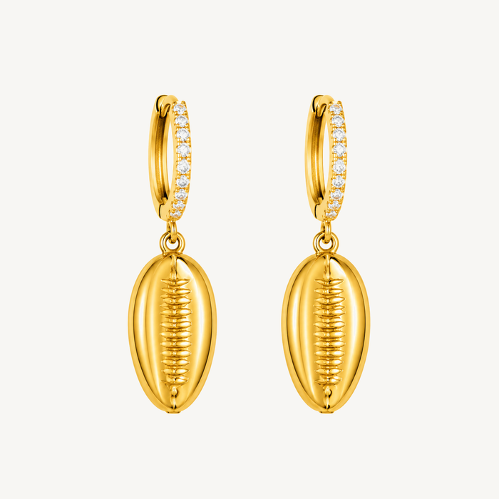 Cowrie Shell