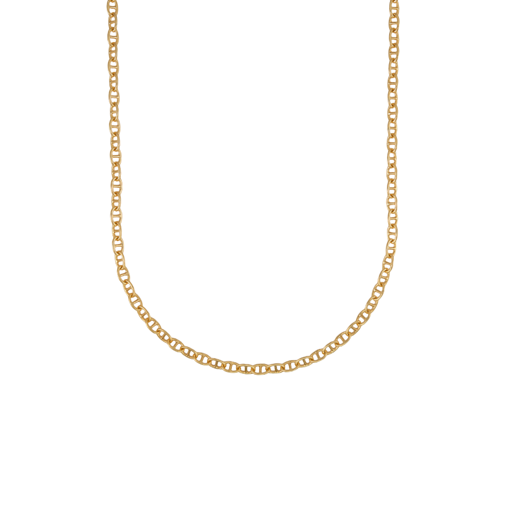 Voyager Chain