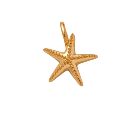 Ocean charms
